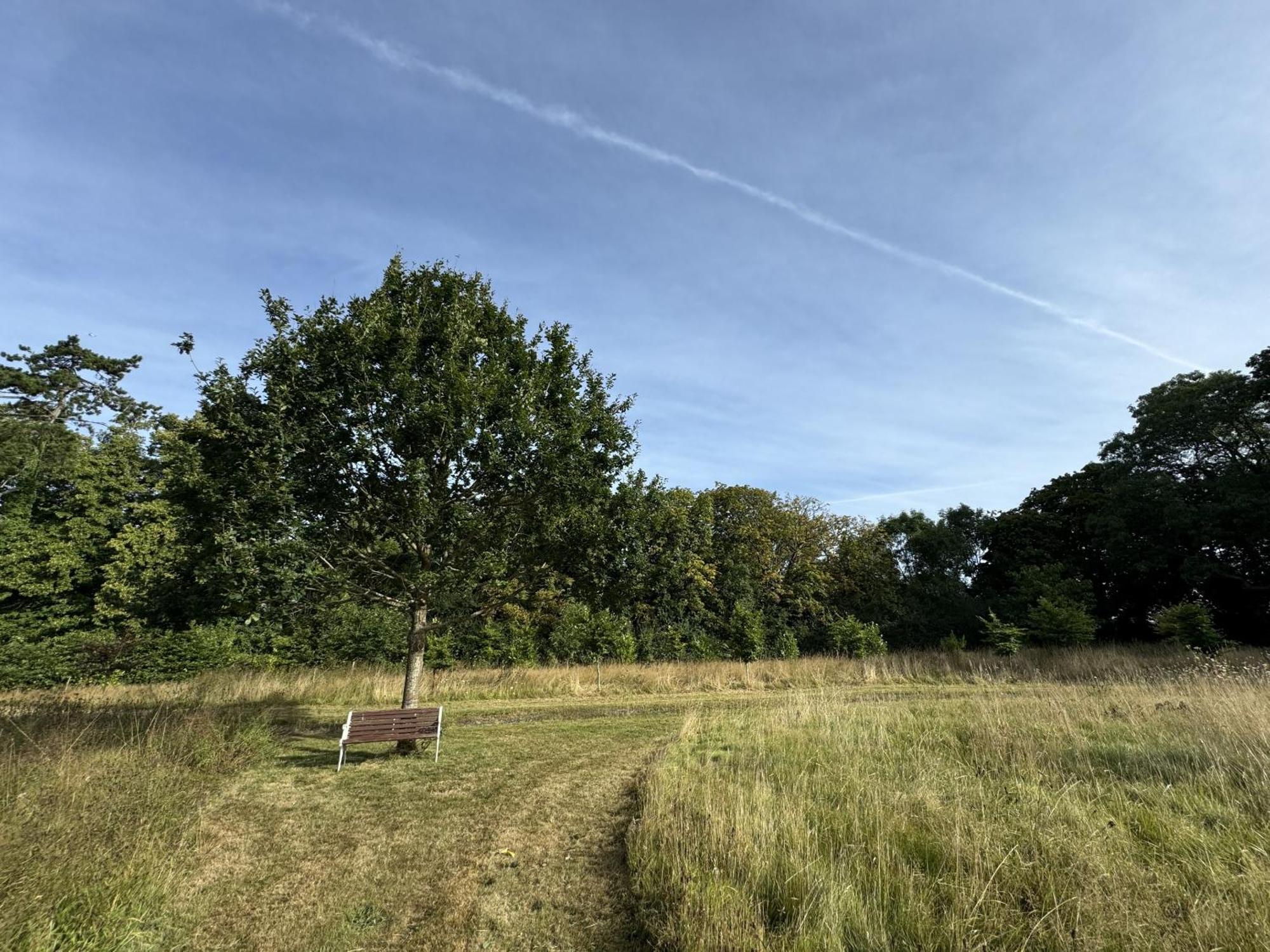 Hookwood Lodge Horley Buitenkant foto