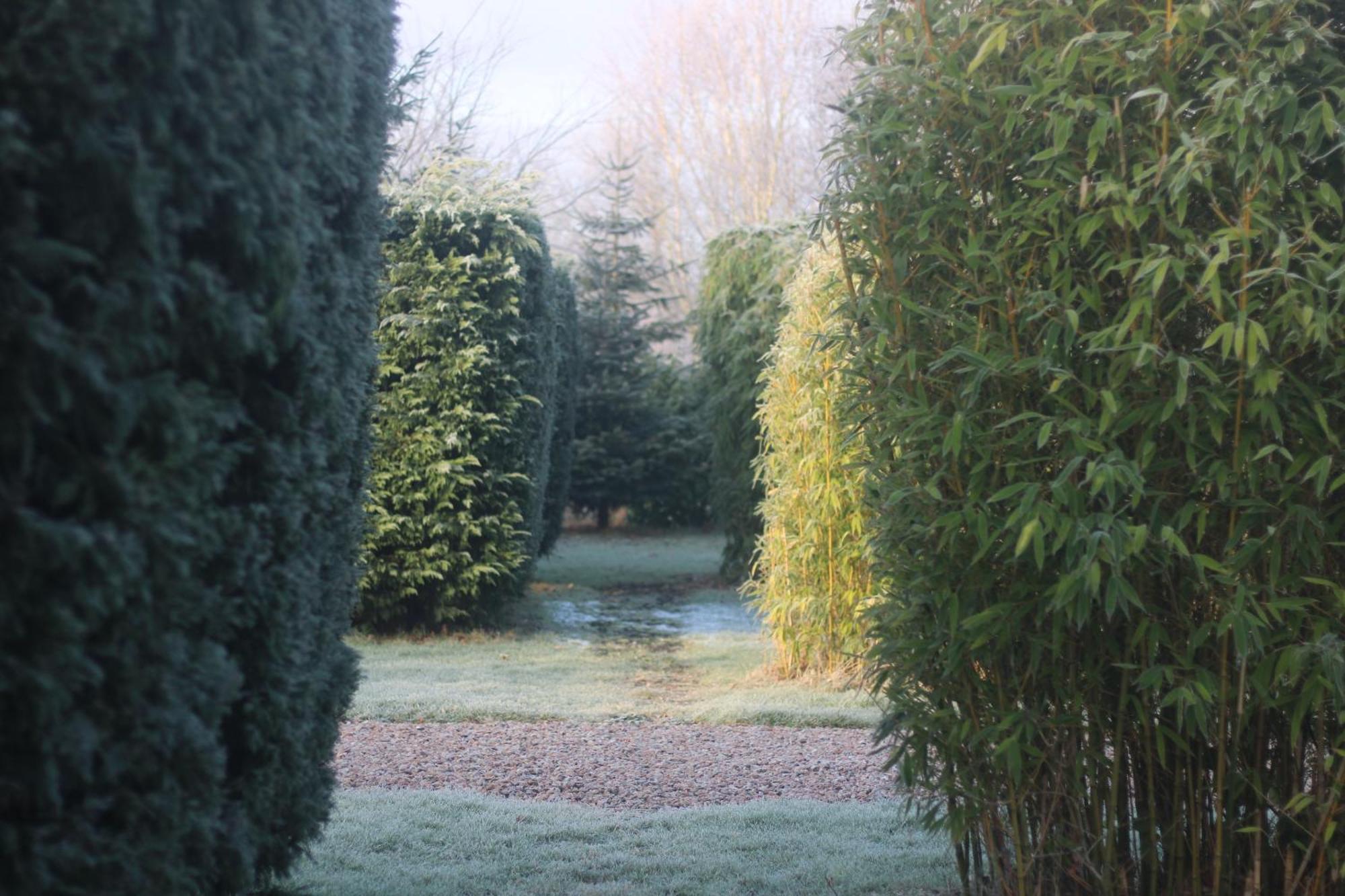 Hookwood Lodge Horley Buitenkant foto